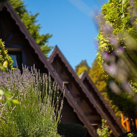Cabanas Antilhue San Martín de los Andes Zewnętrze zdjęcie